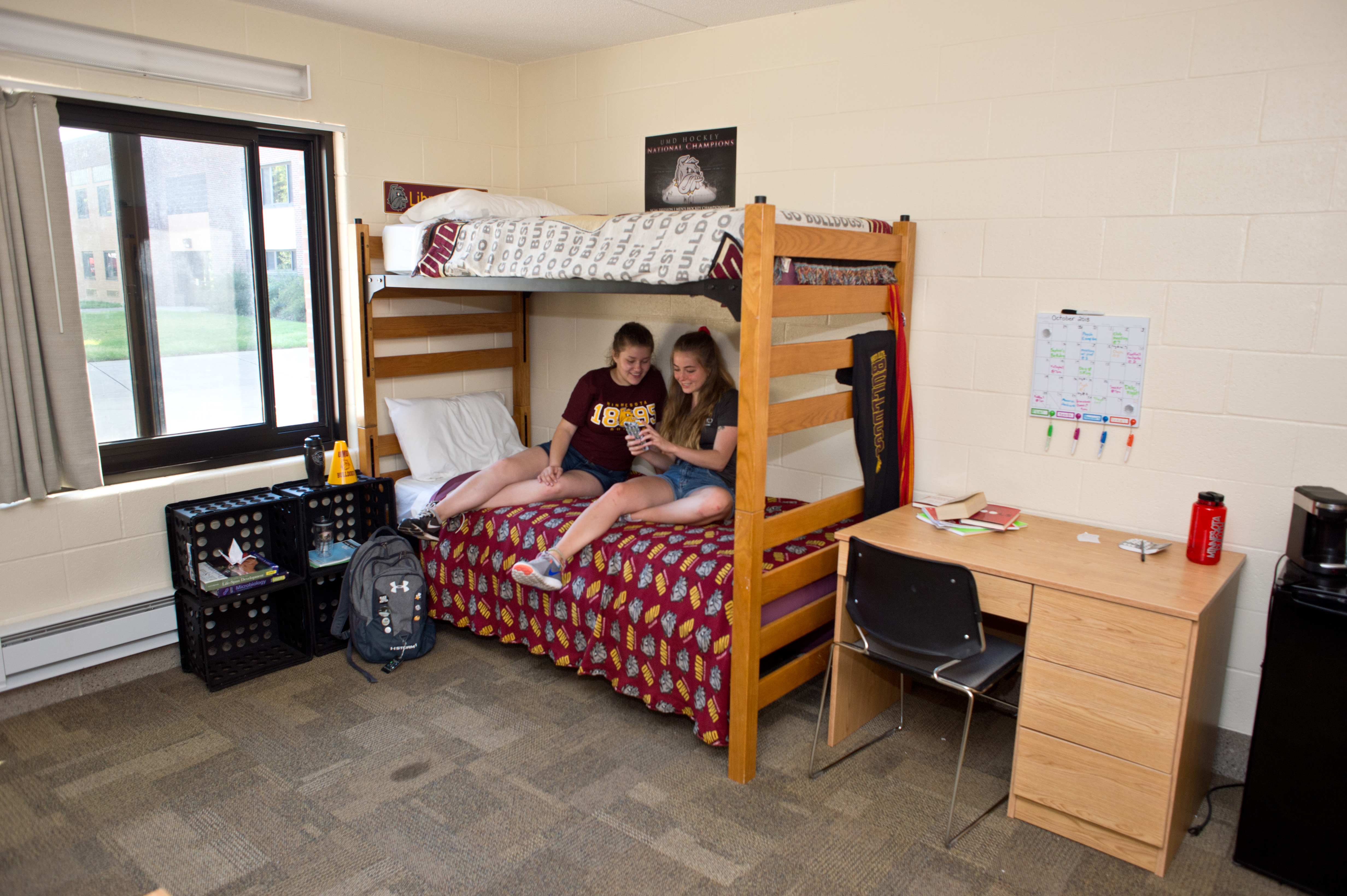 Two students on a bed in a dorm room.
